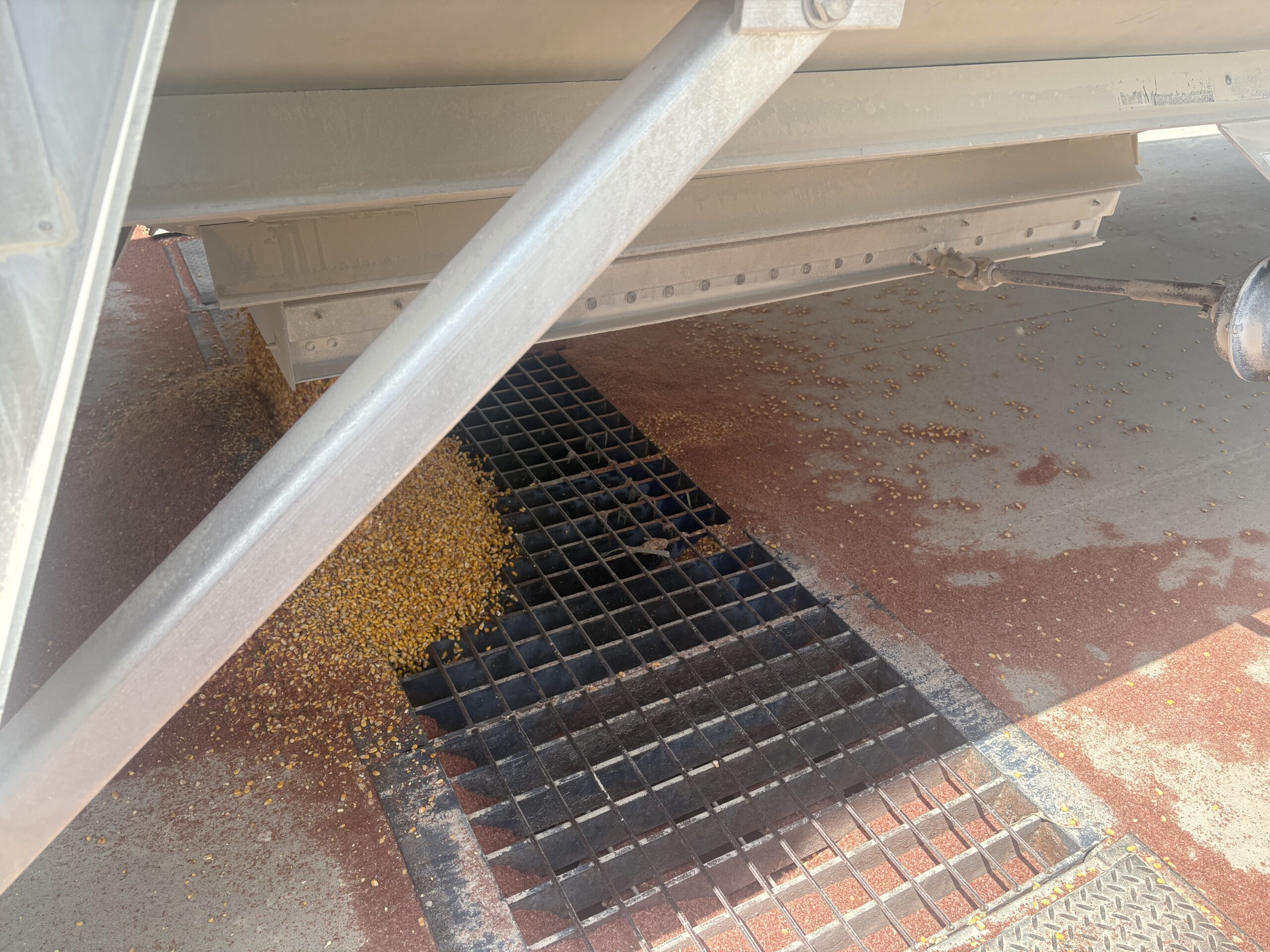 Grain pit getting corn dumped in from hopper trailer
