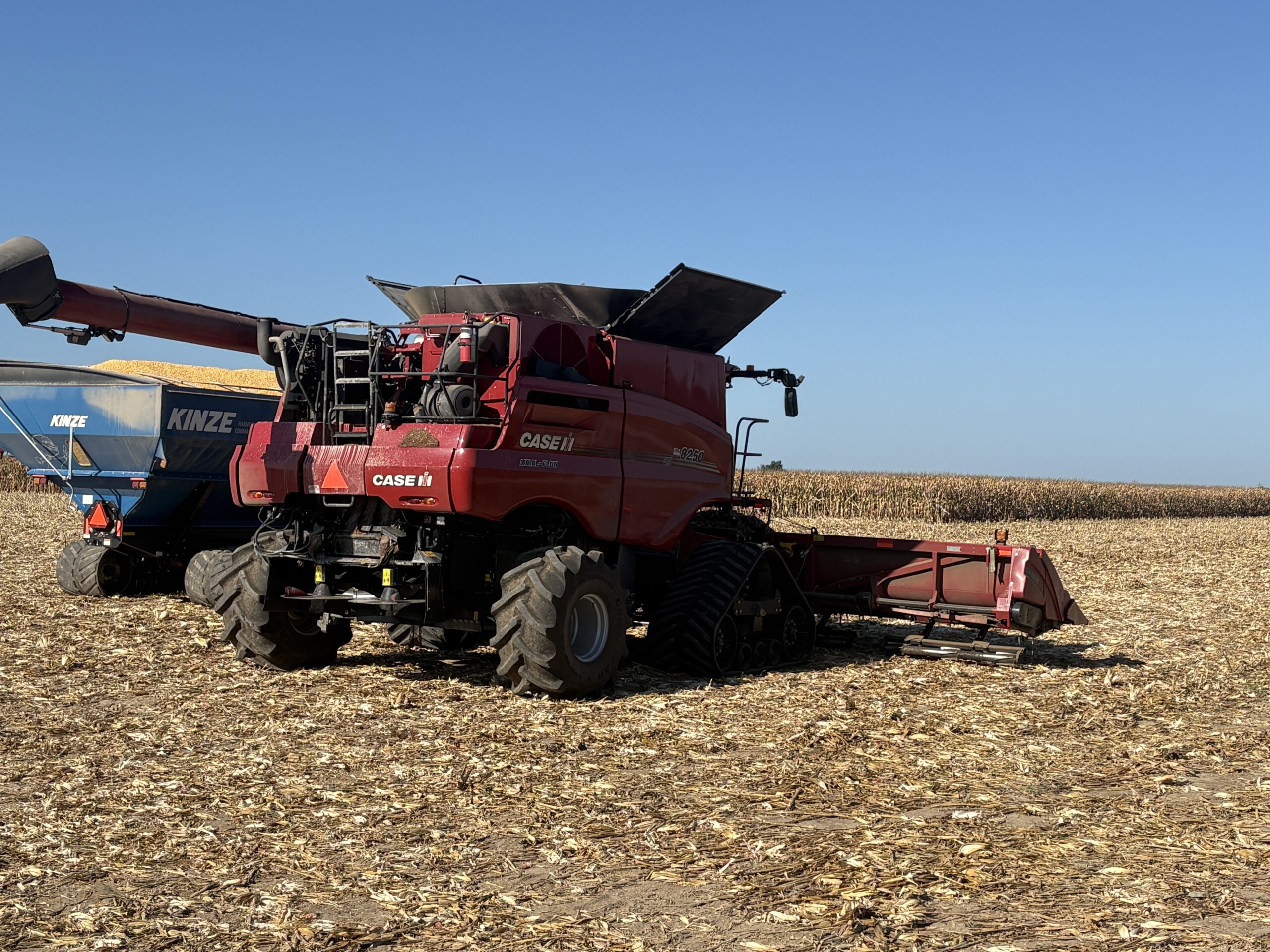 Combine in corn field