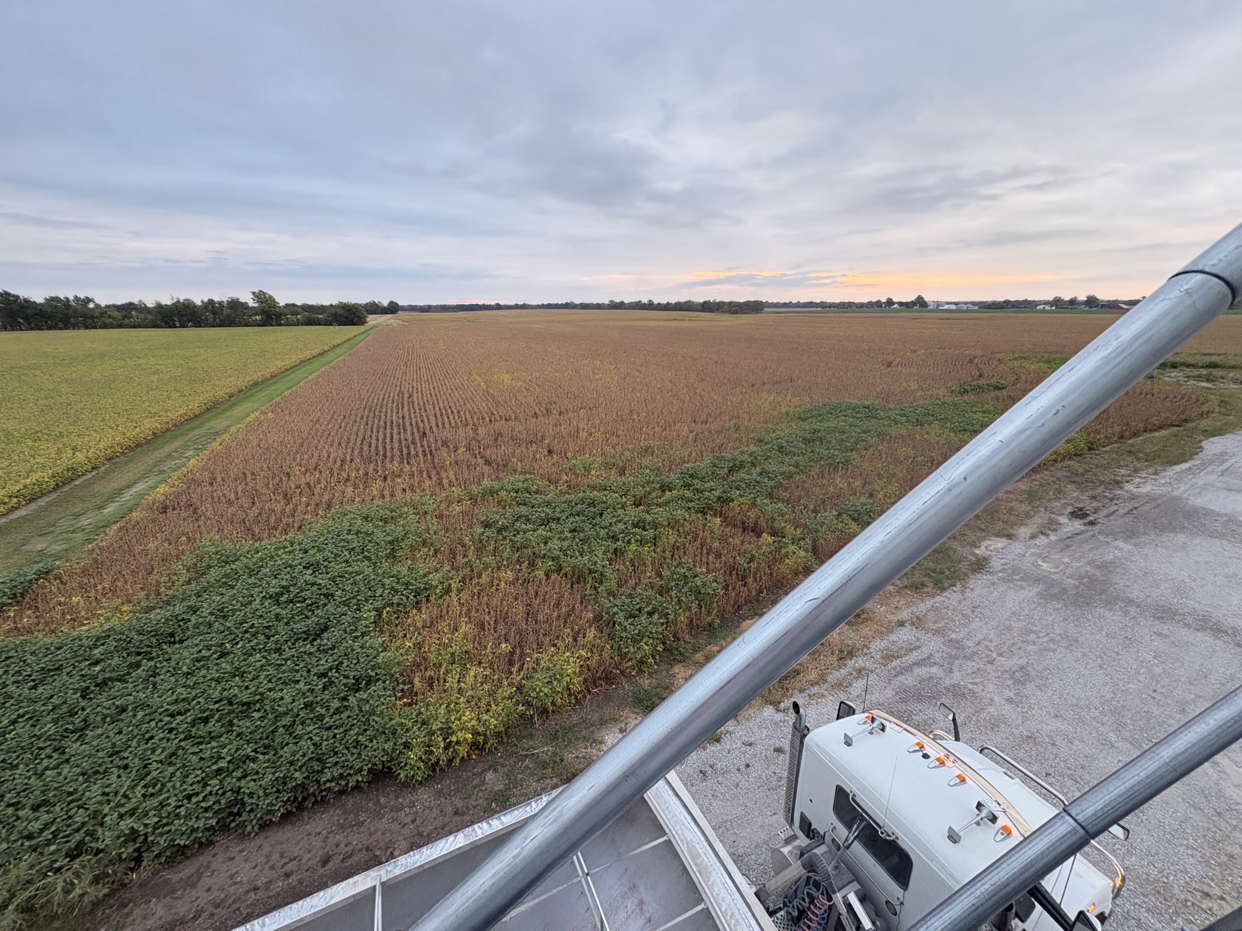 View from top of grain bin