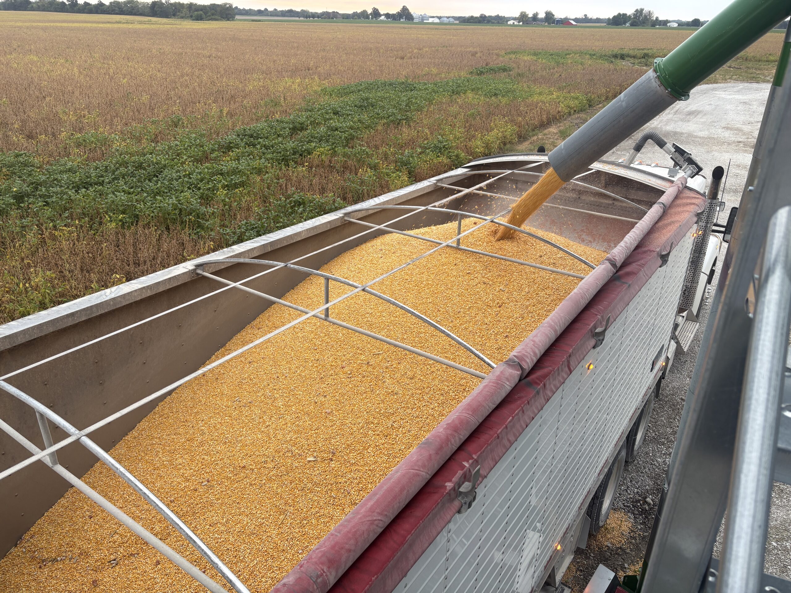 Filling front of hopper bottom trailer on semi with corn